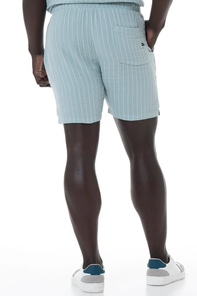 Striped Pull-On Shorts _ 151870 _ Sage