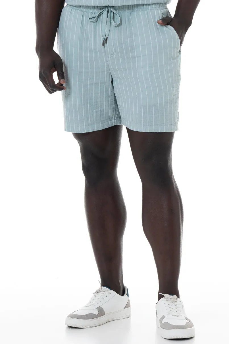 Striped Pull-On Shorts _ 151870 _ Sage